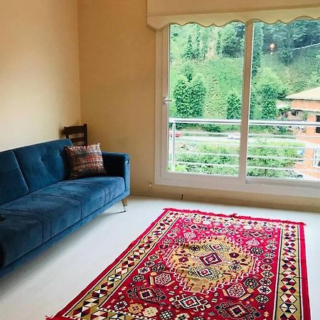 River Side Placed Suit House Secer Apart Çamlıhemşin Εξωτερικό φωτογραφία
