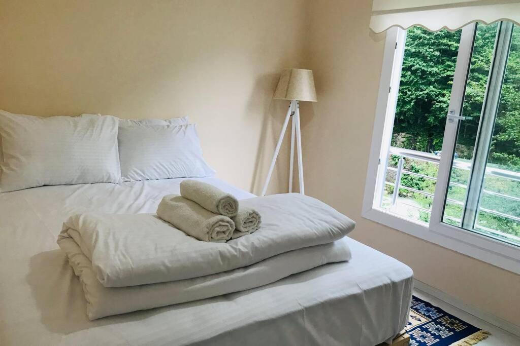 River Side Placed Suit House Secer Apart Çamlıhemşin Εξωτερικό φωτογραφία